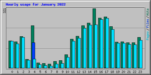 Hourly usage for January 2022
